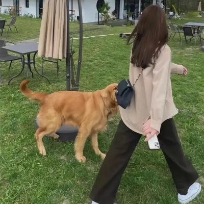 大奥秘物语