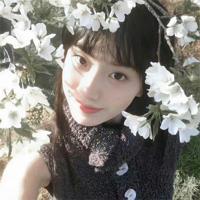盗贼生涯